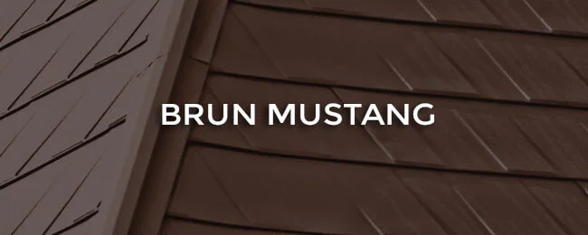 Brun mustang
